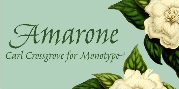 Amarone font preview