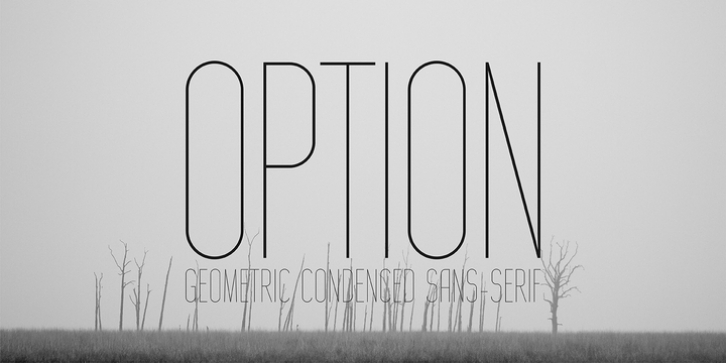 Option font preview