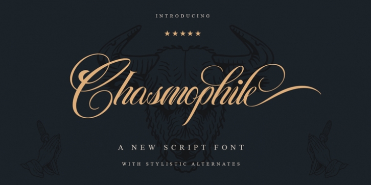 Chasmophile font preview