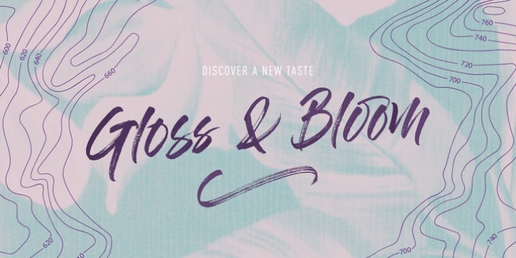 Gloss And Bloom font preview