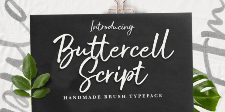 Buttercell Script font preview