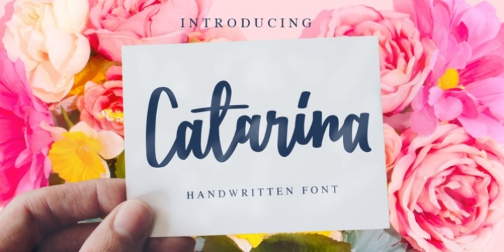 Catarina font preview