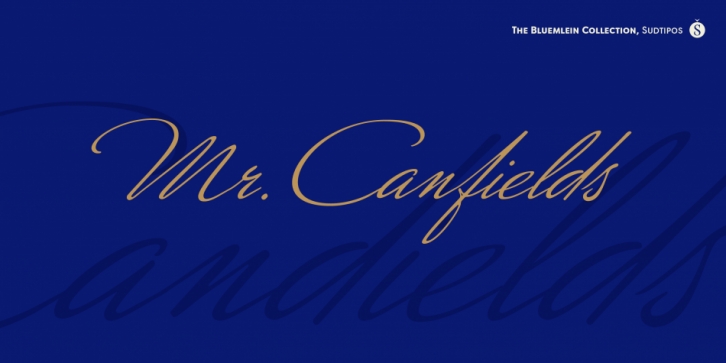 Mr Canfields Pro font preview