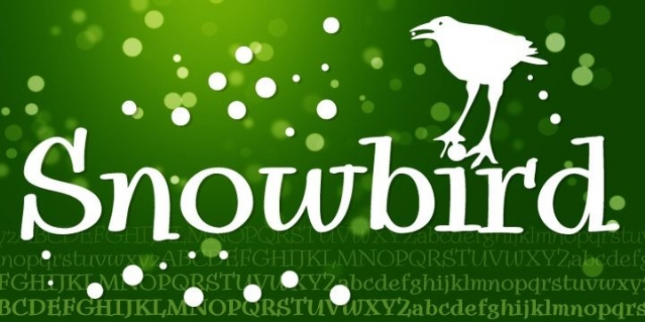Snowbird font preview