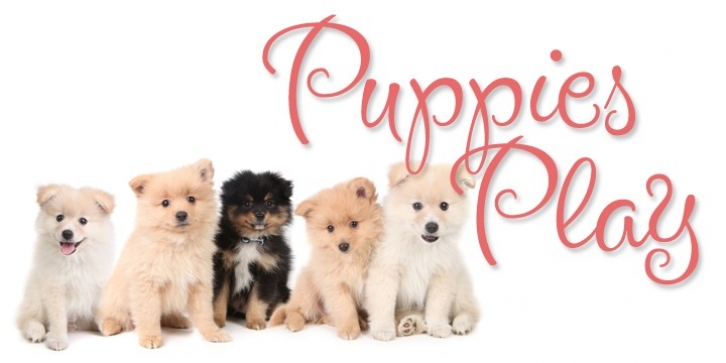 Puppies Play font preview