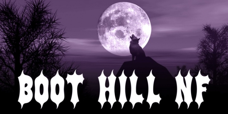 Boot Hill NF font preview