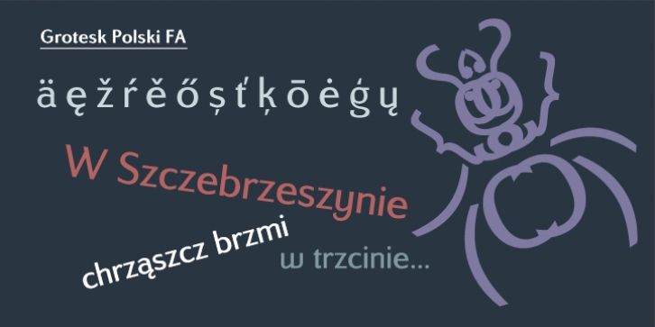 Grotesk Polski FA font preview