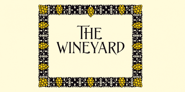 ASTYPE Ornaments Wine Grape A font preview