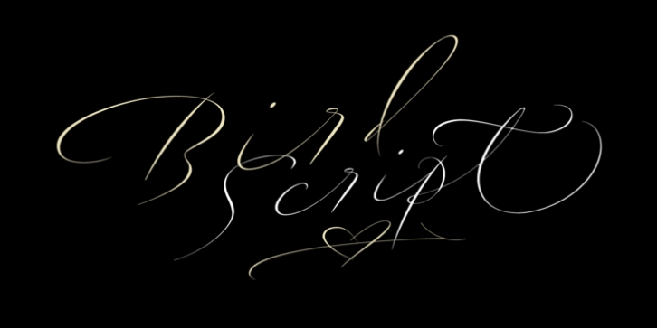 Bird Script font preview