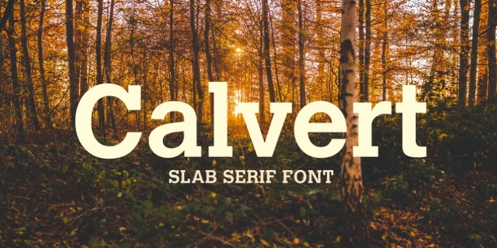 Calvert font preview