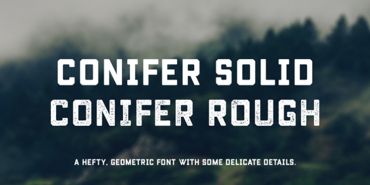 Conifer font preview