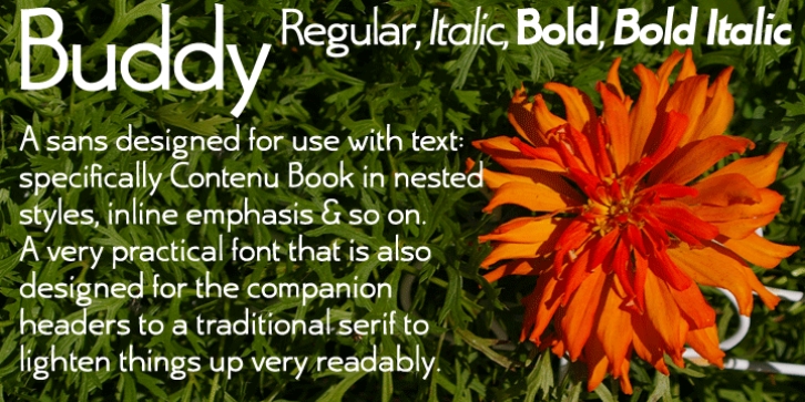 Buddy font preview