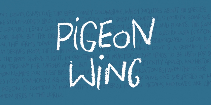 Pigeon Wing font preview
