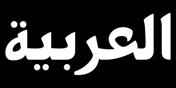 PF Nuyork Arabic font preview