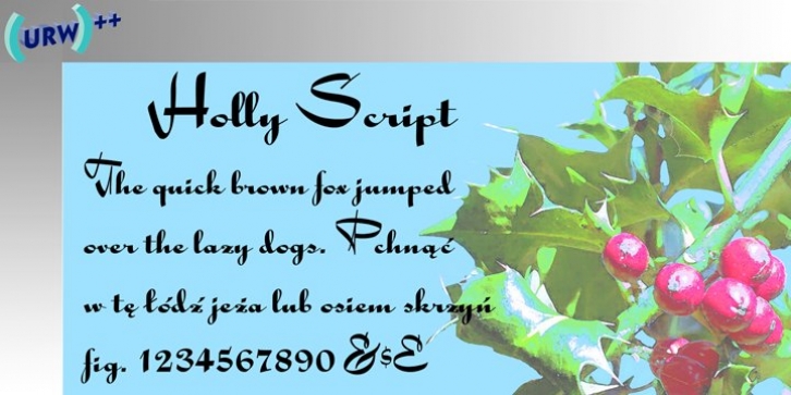 Holly Script font preview
