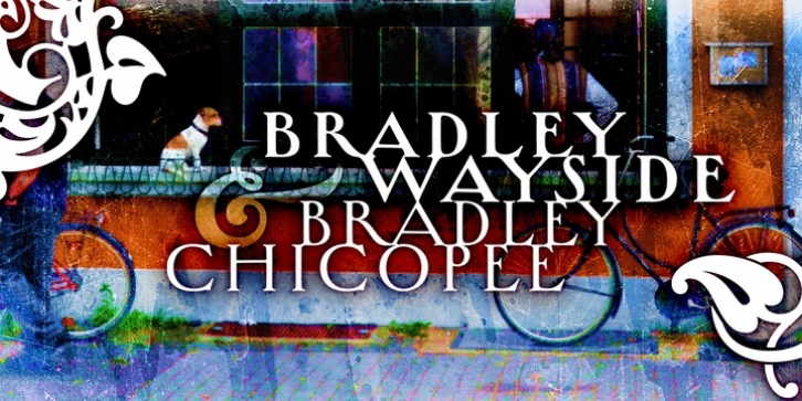 Bradley font preview