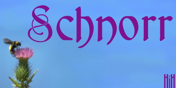 Schnorr font preview