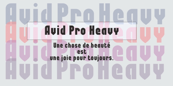 Avid Pro font preview