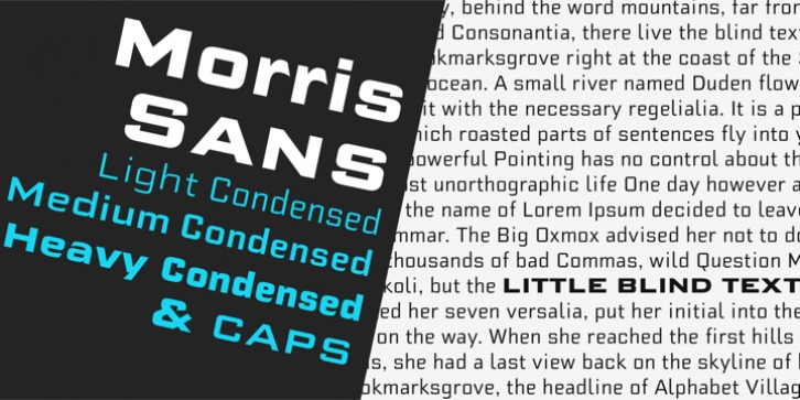 Morris Sans font preview