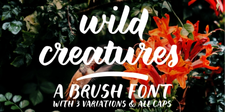 Wild Creatures font preview
