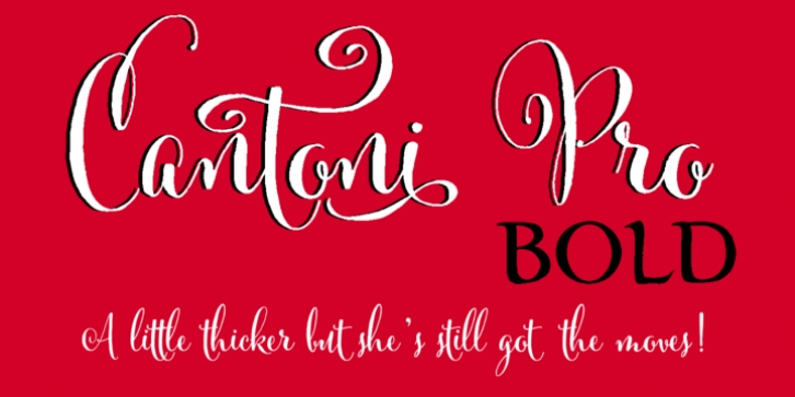 Cantoni font preview