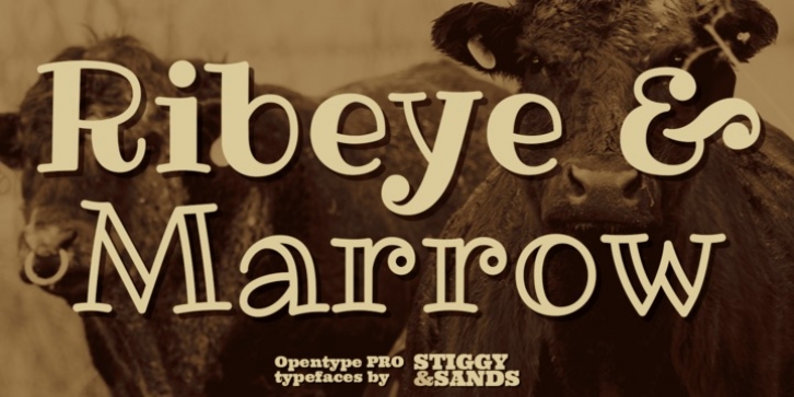 Ribeye Pro font preview