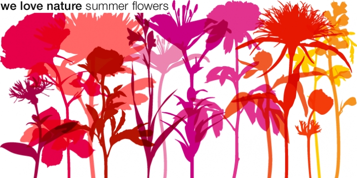 We Love Nature Summer Flowers font preview