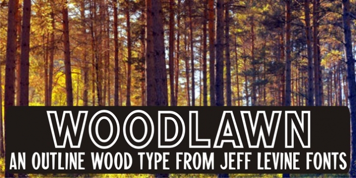 Woodlawn JNL font preview
