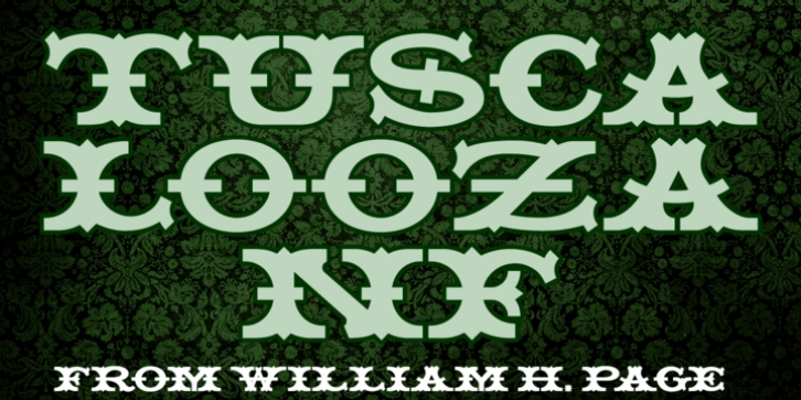 Tuscalooza NF font preview