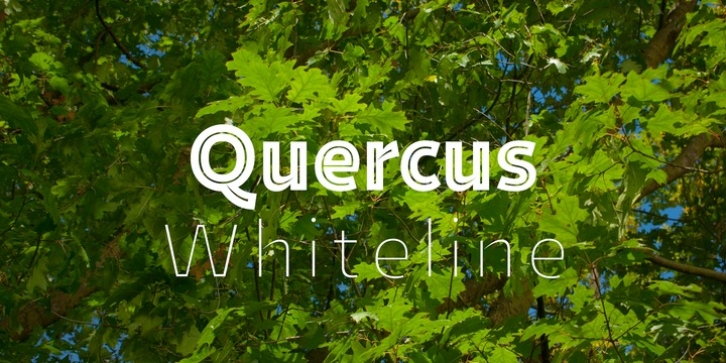 Quercus Whiteline font preview
