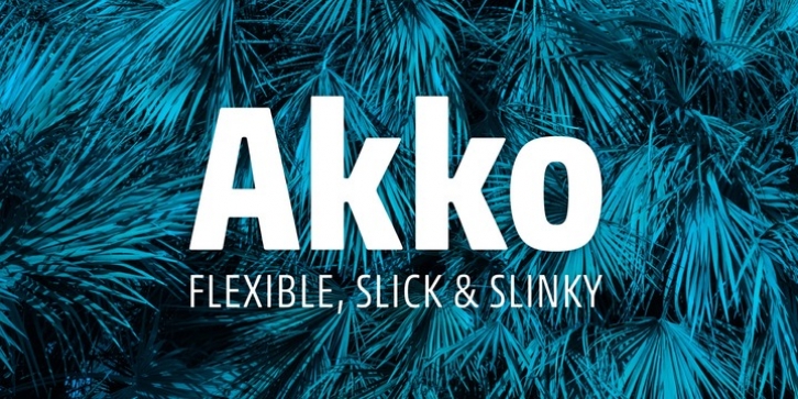 Akko font preview