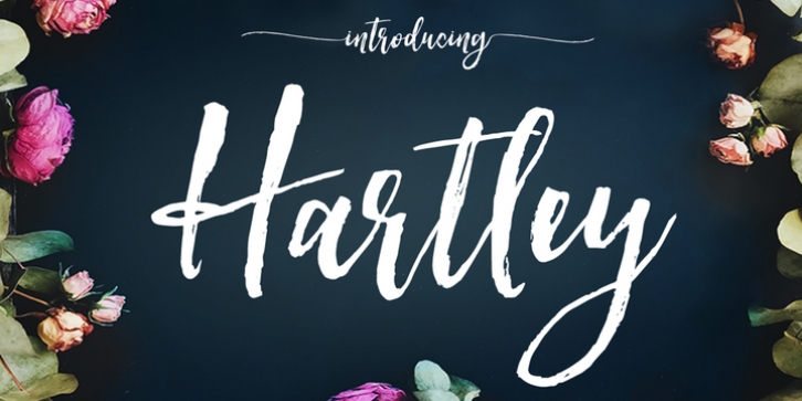 Hartley font preview