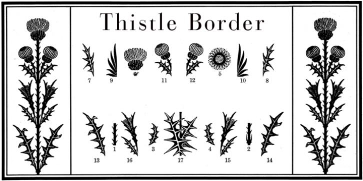 Thistle Borders font preview