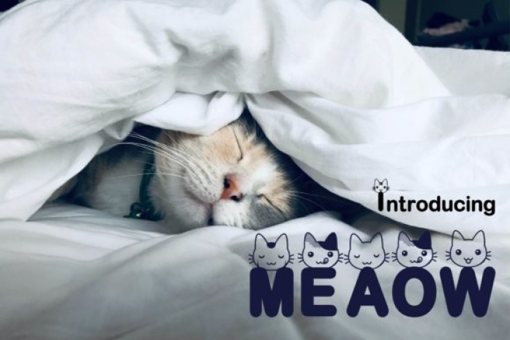 Meaow font preview