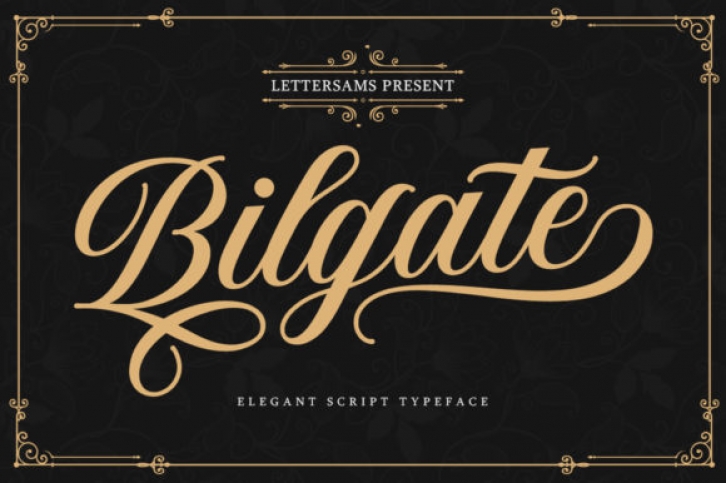 Bilgate font preview