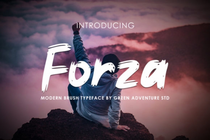 Forza font preview