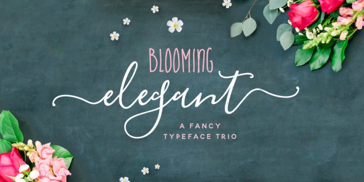 Blooming Elegant font preview