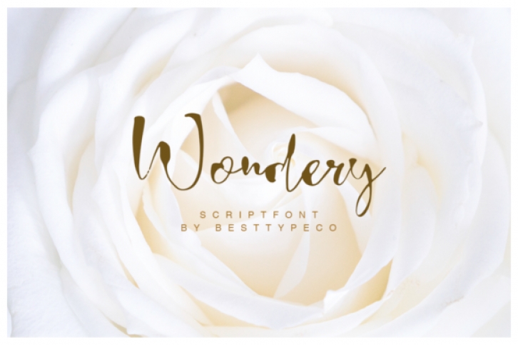 Wondery font preview