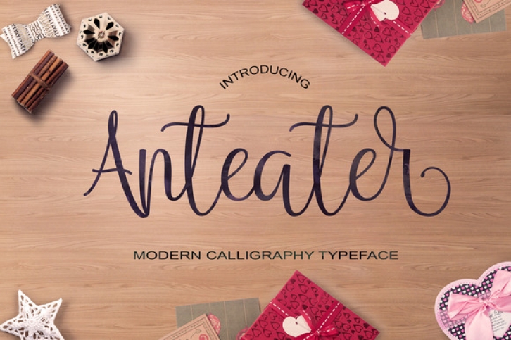 Anteater font preview