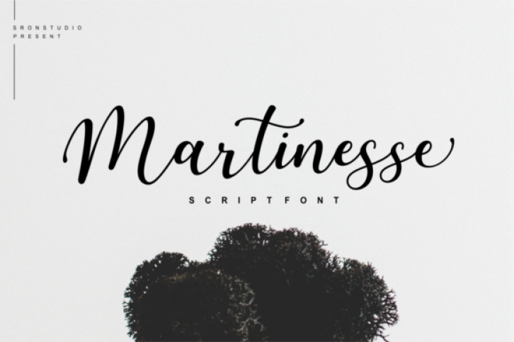 Martinesse Script font preview
