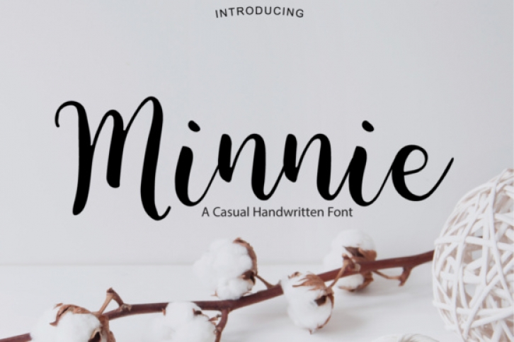 Minnie font preview