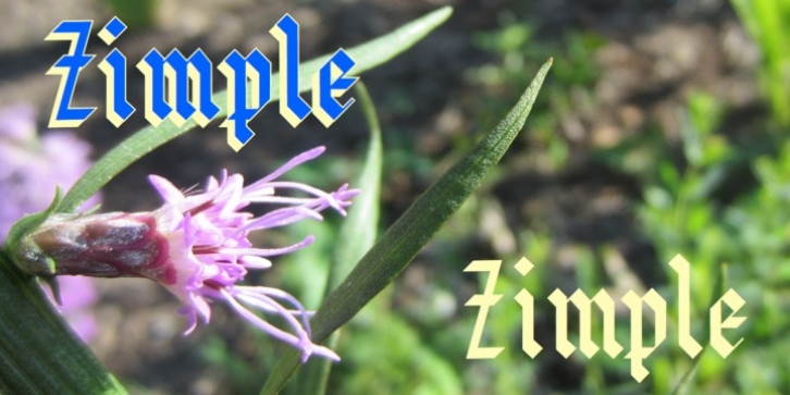 Zimple font preview