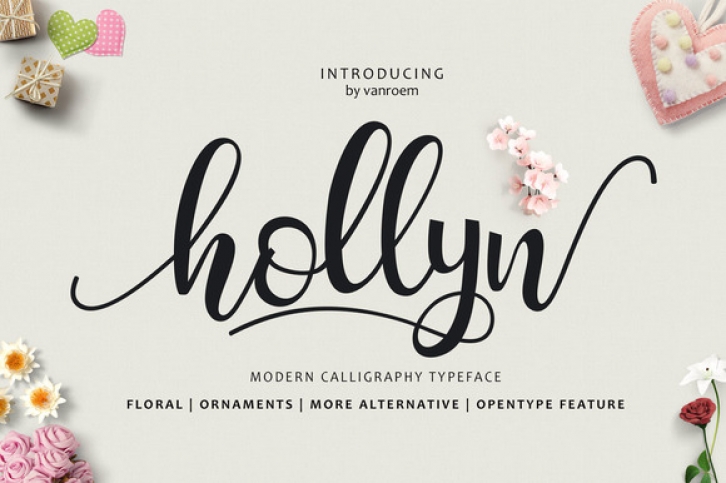 Hollyn font preview