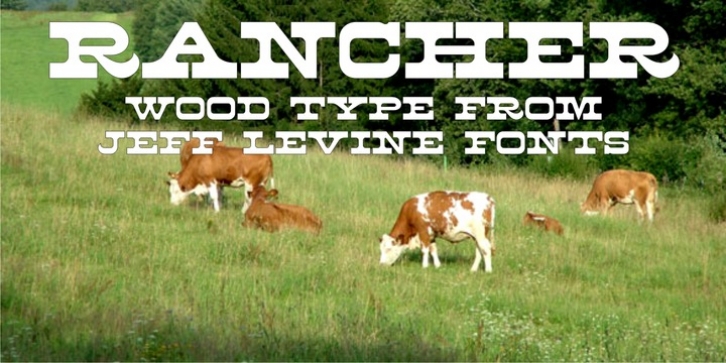 Rancher JNL font preview