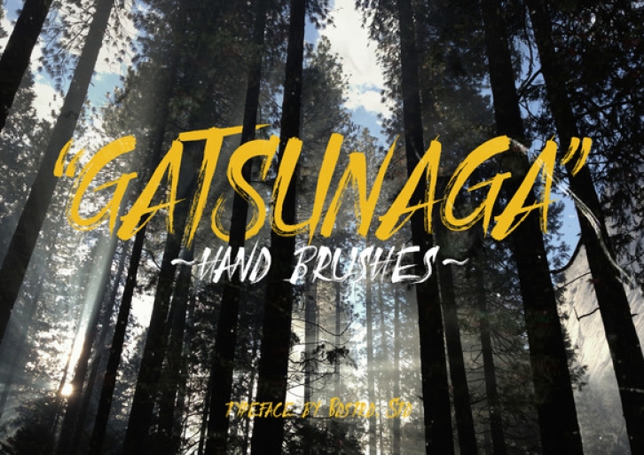 Gatsunaga Hand Brushes font preview