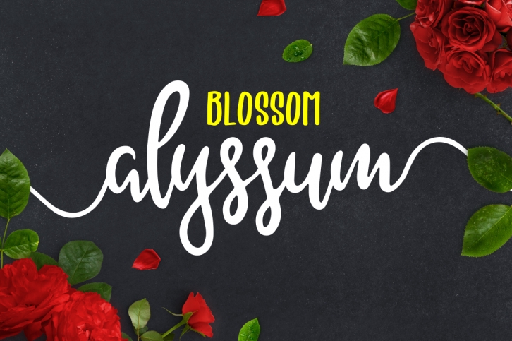 Alyssum Blossom font preview