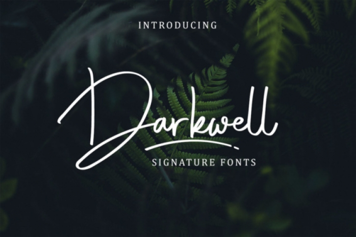 Darkwell Family font preview