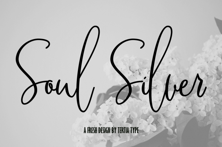 Soul Silver font preview