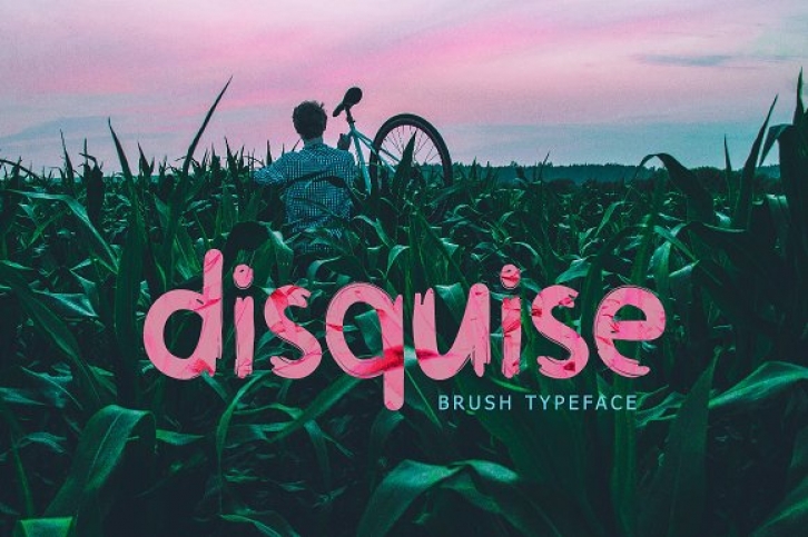 Disquise font preview
