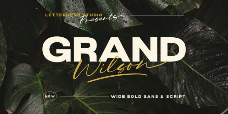 Grand Wilson font preview